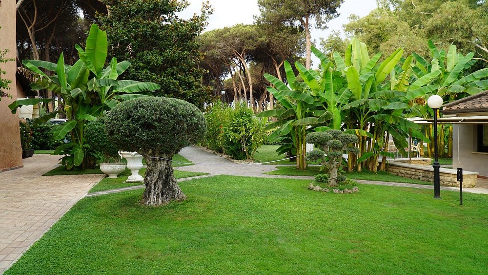 la-pineta-dei-liberti (2)